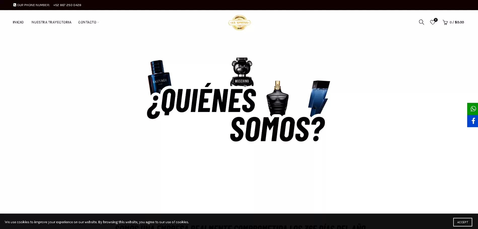 creacion-y-diseño-de-tiendas-online-de-productos-en-saltillo