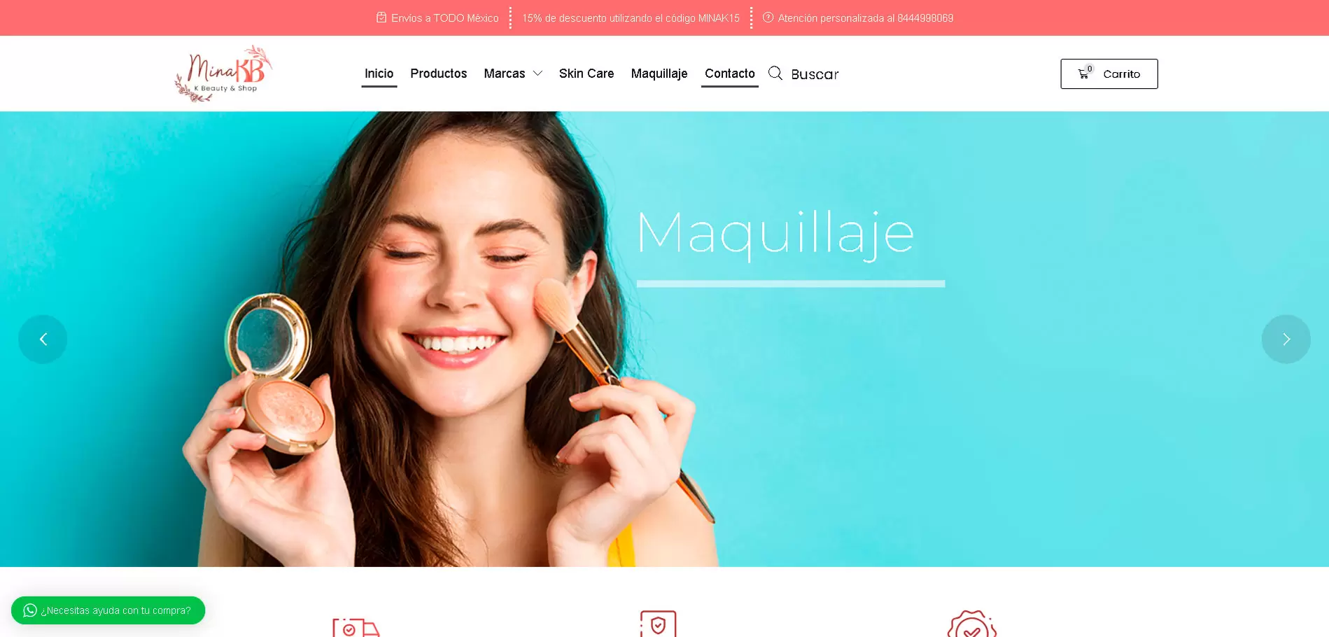 diseño-tienda-online-de-productos-saltillo-mexico