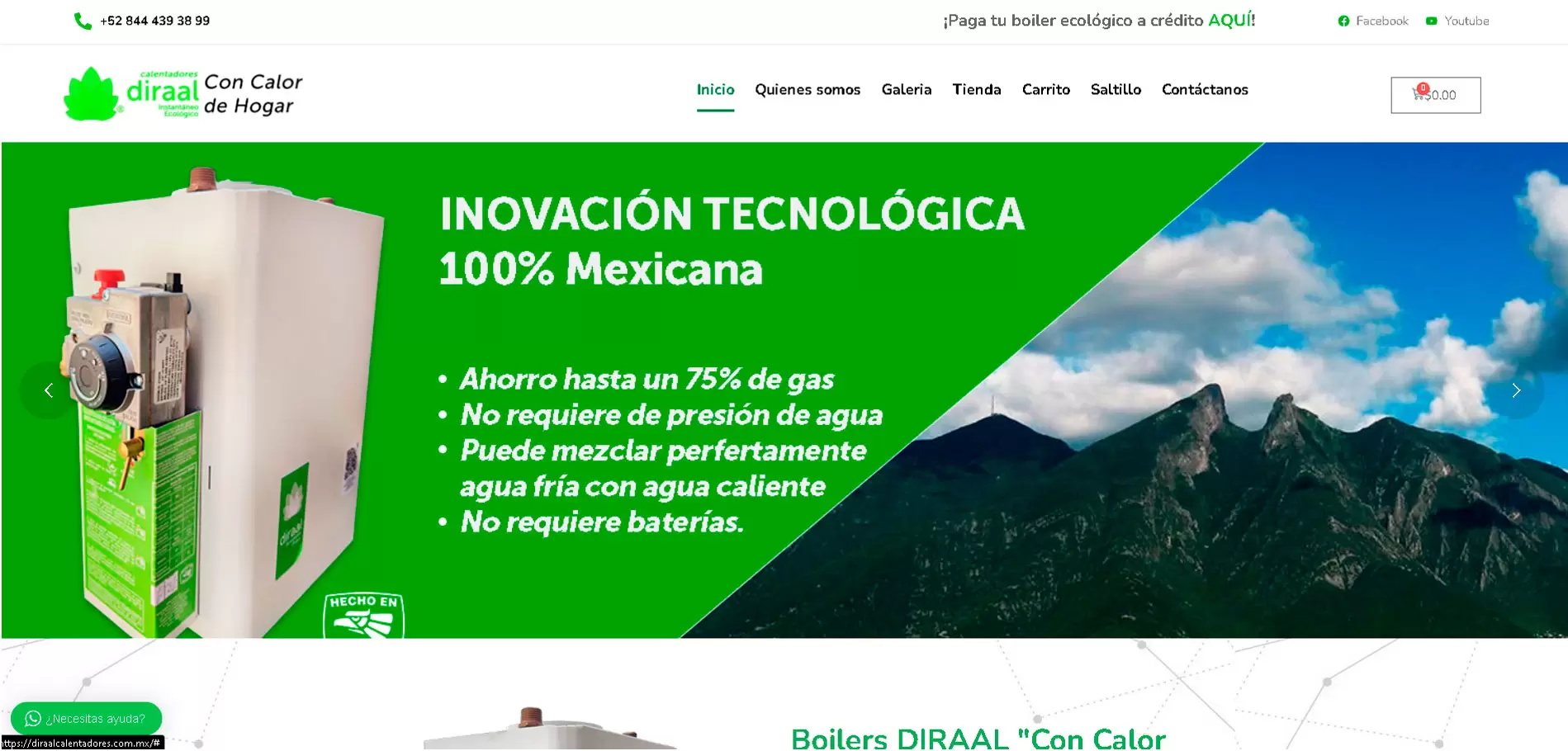sitio-web-tienda-online-saltillo-venta-de-productos